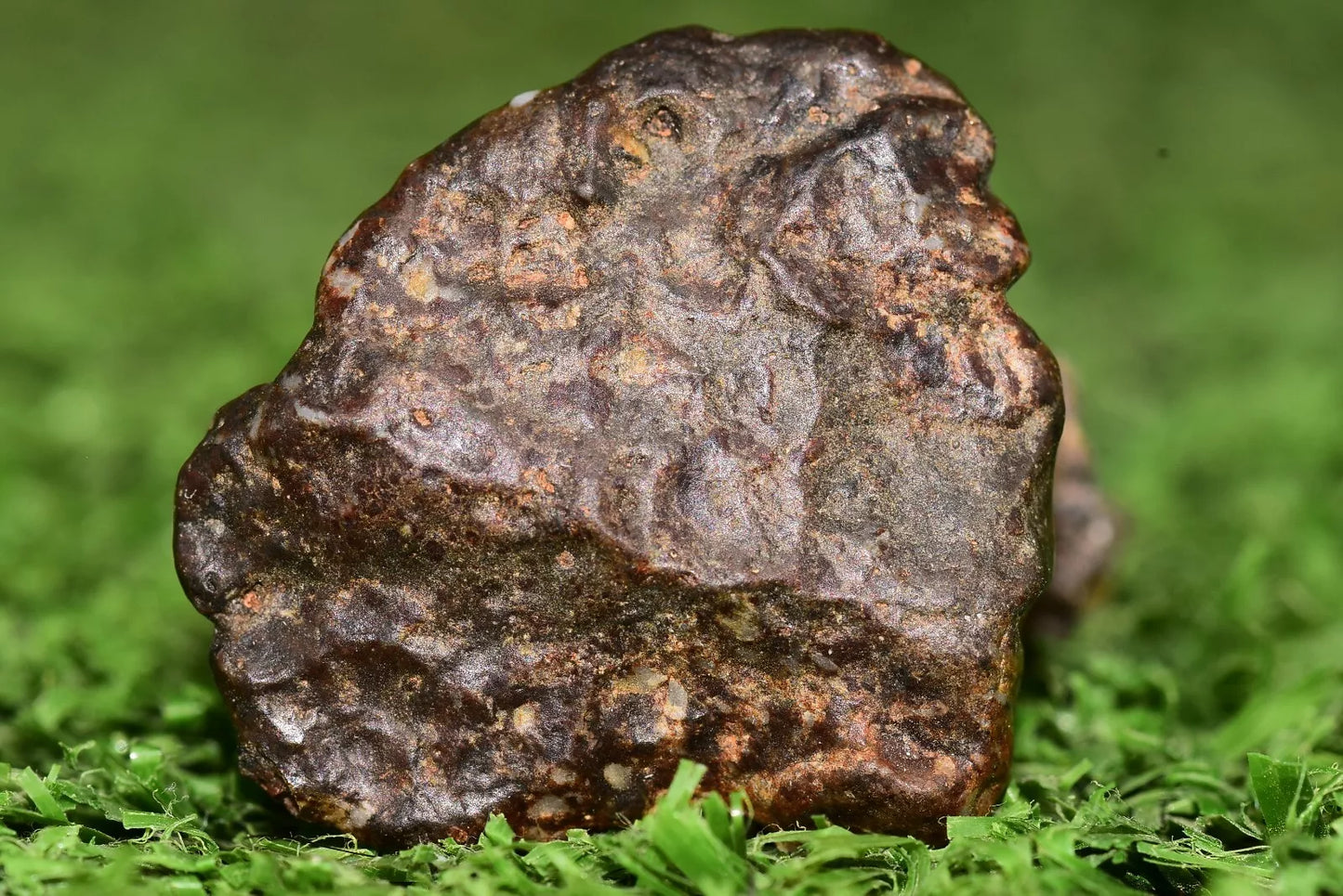 Meteorite NWA 12344 HED achondrite Eucrite, polymict 5.27 grams fragment - MeteoriteNwa.com