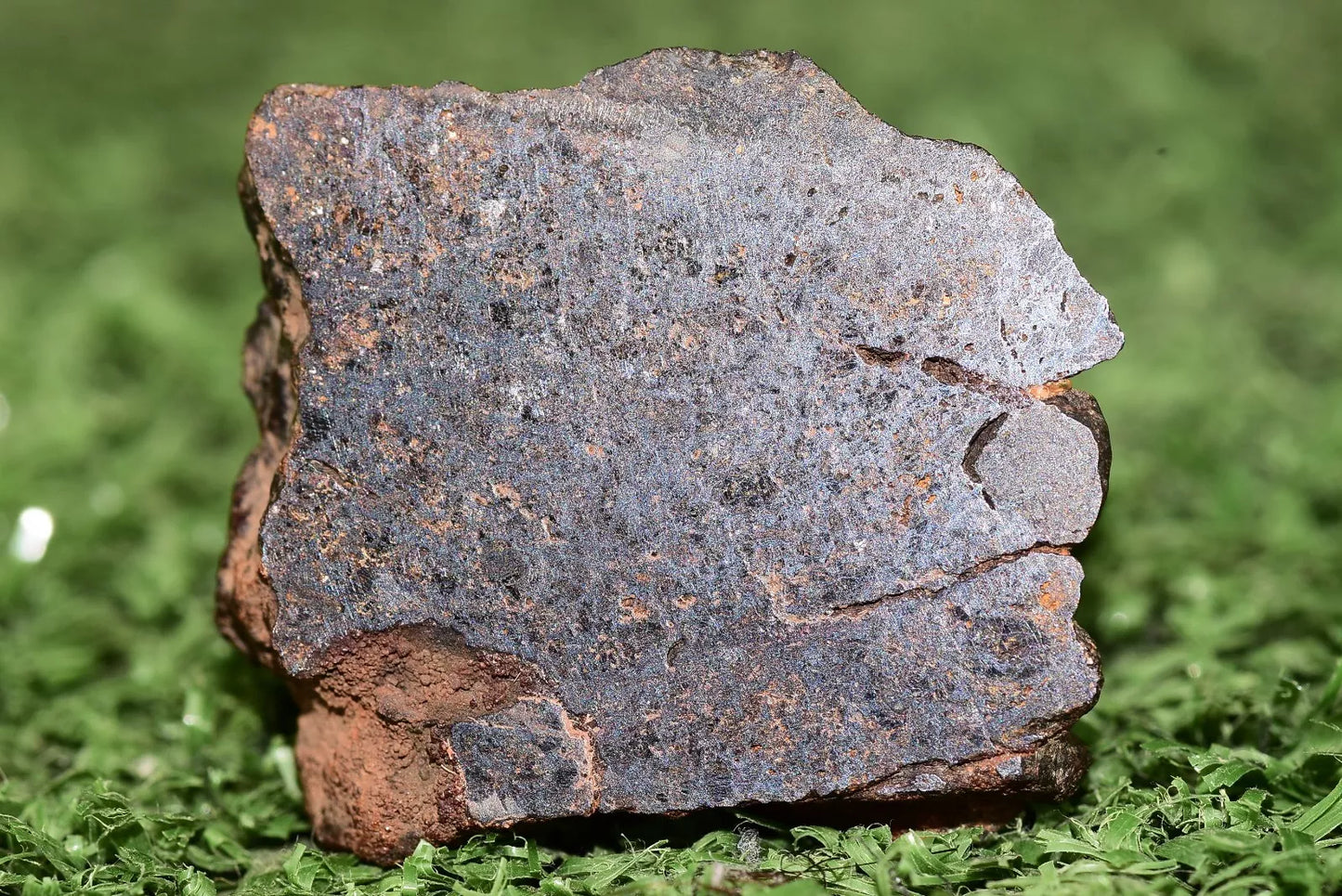 Meteorite Mesosiderite stony Iron NWA 14867 Endcut 16.8g - MeteoriteNwa.com