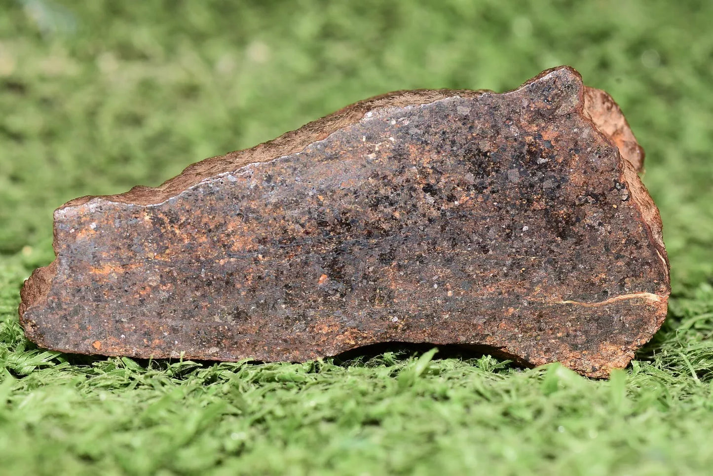 RARE CLASS Meteorite chondrite H7 NWA 14234 main Mass 77.5 grams - MeteoriteNwa.com