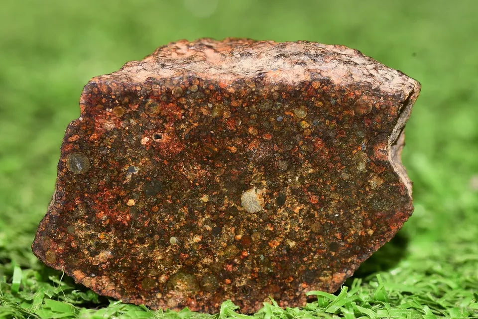 Meteorite Chondrite L3 NWA 12341 With Amazing chondrules endcut 15.4 g - MeteoriteNwa.com
