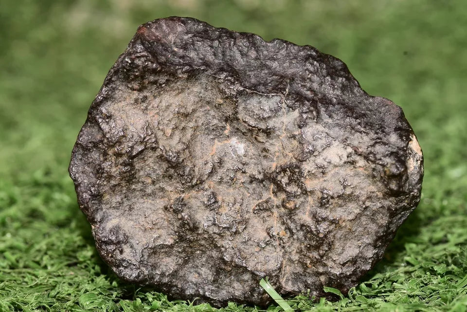 Meteorite chondrite Ordinary H4 NWA 14003 Complete fragment - 52.5g - MeteoriteNwa.com