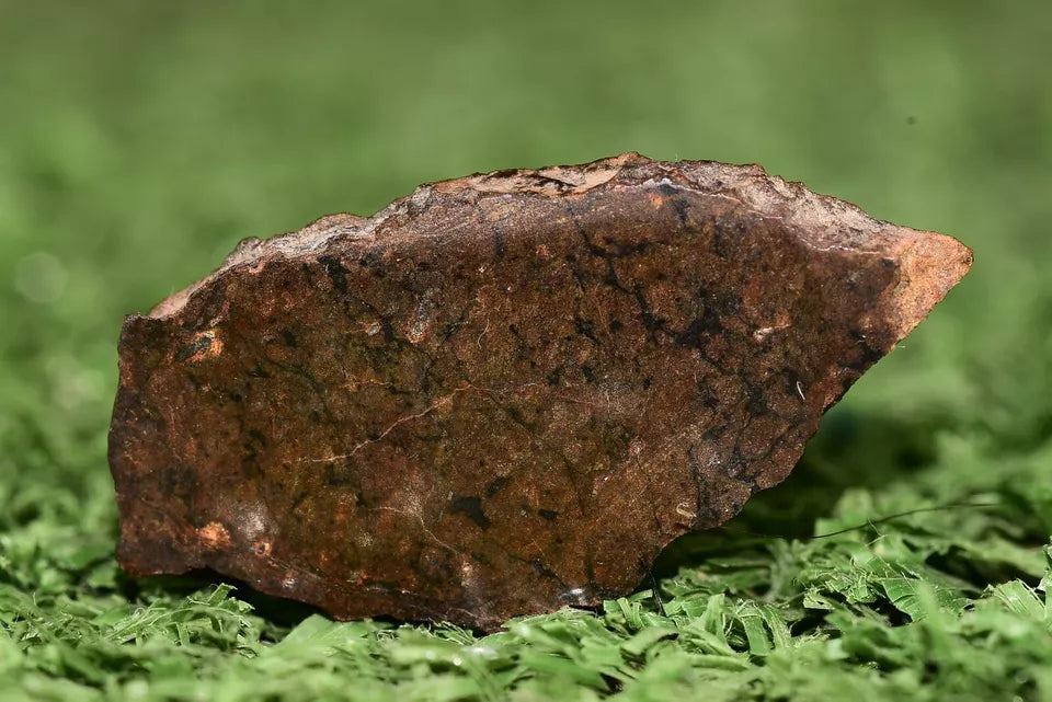 Meteorite Ungrouped achondrite NWA 13272 poikilitic igneous texture 3.15 g Slice - MeteoriteNwa.com