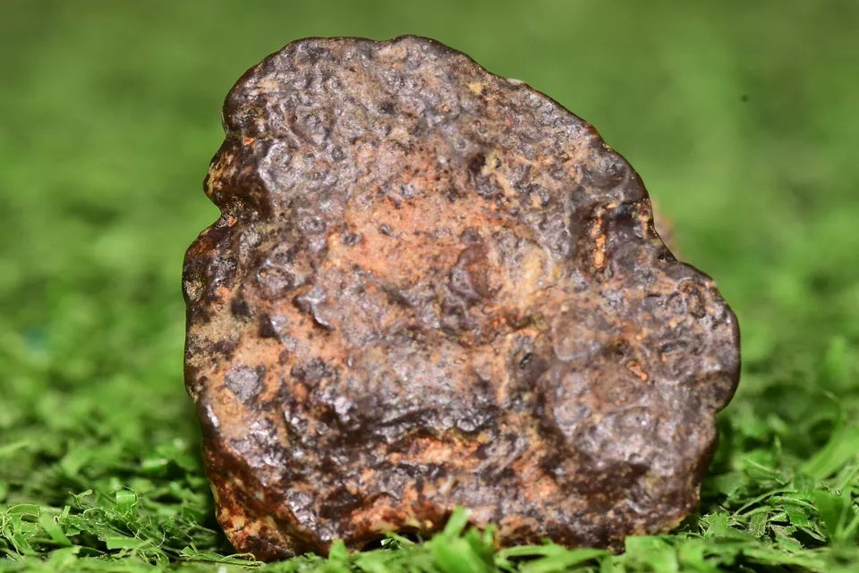 Meteorite NWA 12344 HED achondrite Eucrite, polymict 5.27 grams fragment - MeteoriteNwa.com