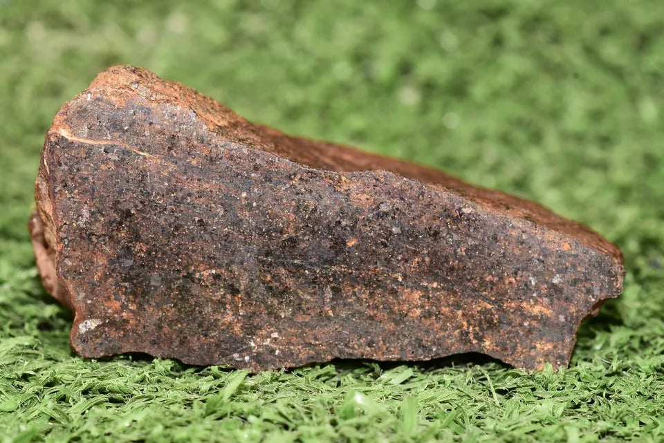 RARE CLASS Meteorite chondrite H7 NWA 14234 main Mass 77.5 grams - MeteoriteNwa.com