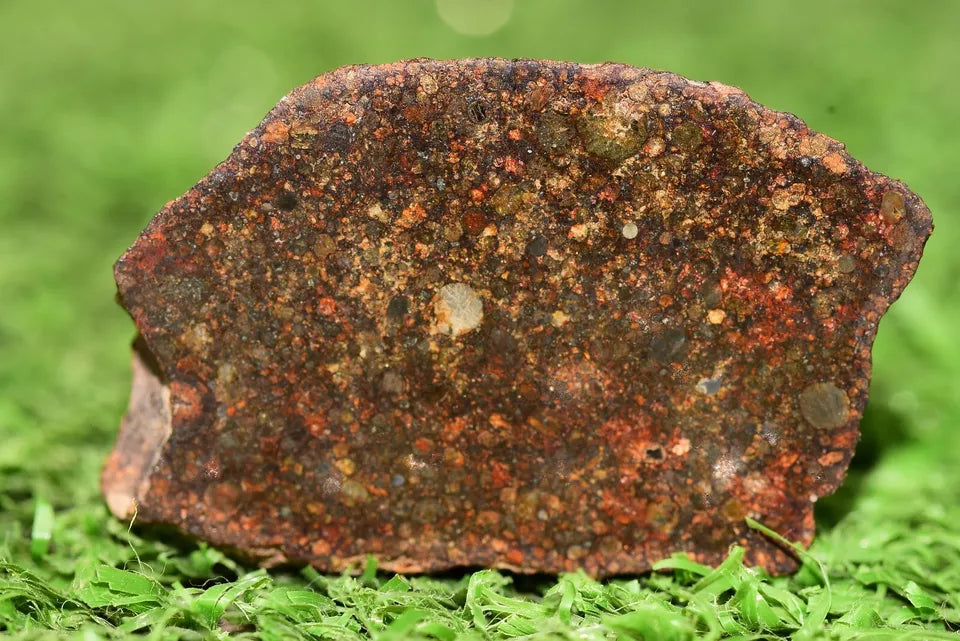 Meteorite Chondrite L3 NWA 12341 With Amazing chondrules endcut 15.4 g - MeteoriteNwa.com