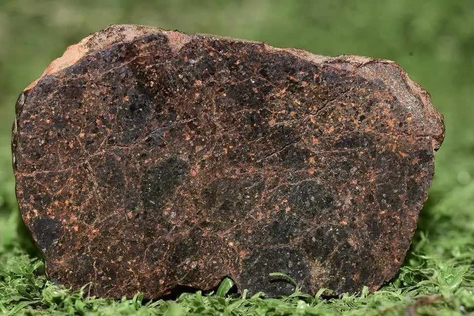 ULTRA RARE Meteorite Brachinite Achondrite NWA 11756 Slice 12.3 g - MeteoriteNwa.com