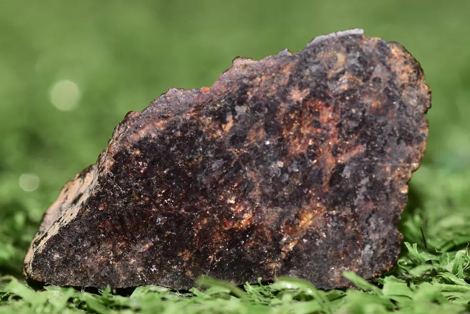 ULTRA RARE Meteorite Acapulcoite Achondrite Primitive Aydar ENDCUT 5.69 GRAMS - MeteoriteNwa.com