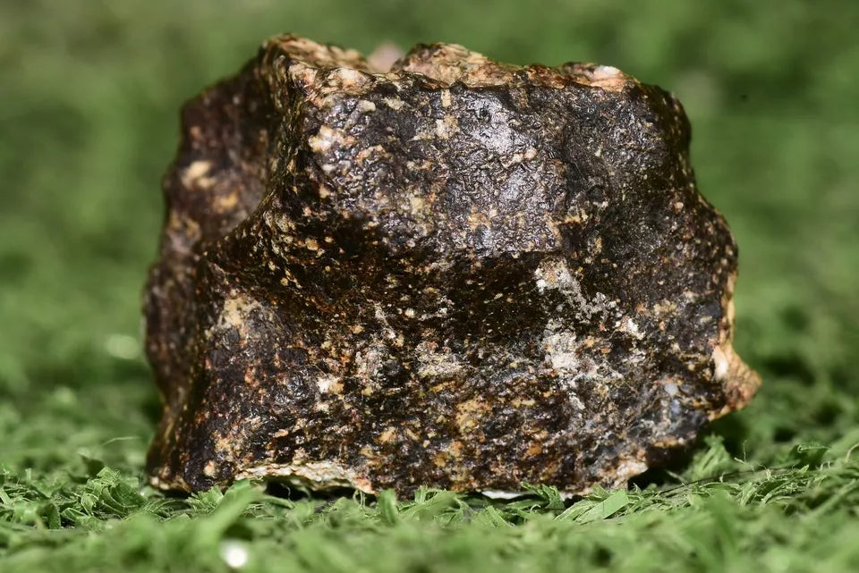 Meteorite Eucrite Brecciated NWA 14410 fragment 12.5 g - MeteoriteNwa.com