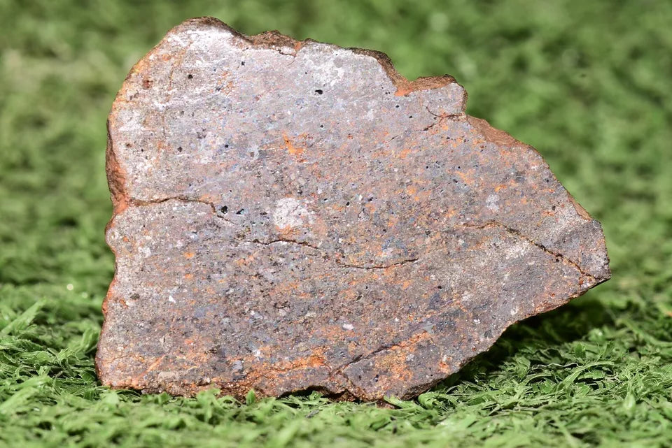 RARE CLASS Meteorite chondrite H7 NWA 14234 Slice 16.67 grams - MeteoriteNwa.com