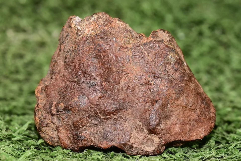RARE CLASS Meteorite chondrite H7 NWA 14234 Endcut 30 grams - MeteoriteNwa.com
