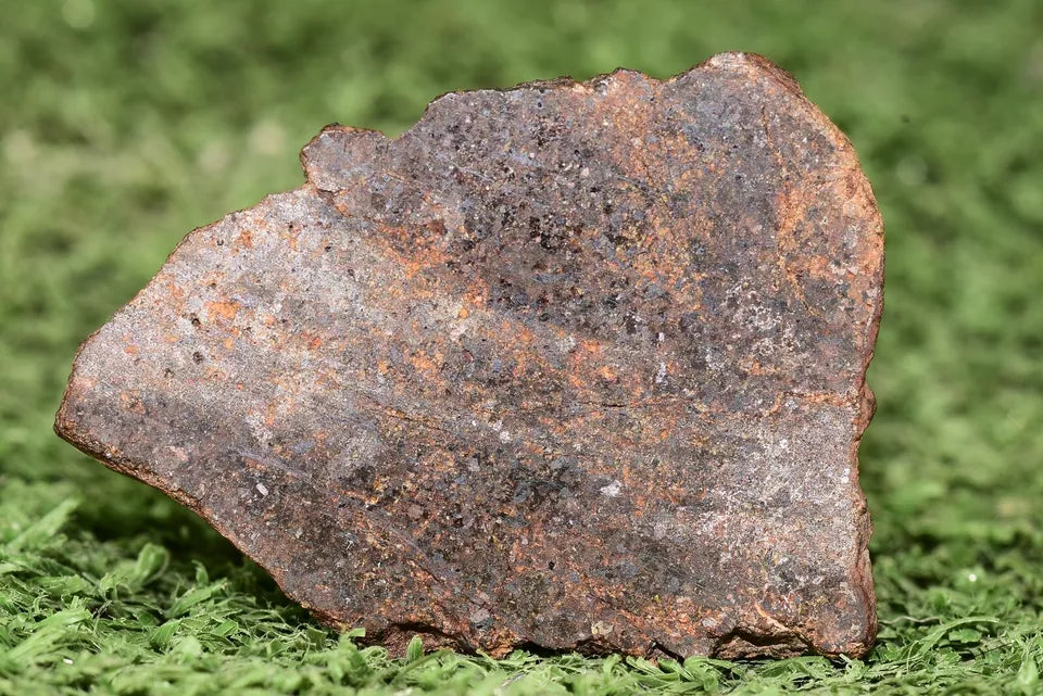 RARE CLASS Meteorite chondrite H7 NWA 14234 Slice 16.67 grams - MeteoriteNwa.com