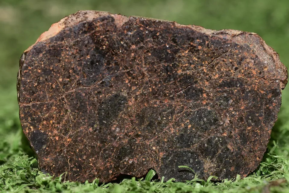 ULTRA RARE Meteorite Brachinite Achondrite NWA 11756 Slice 12.3 g - MeteoriteNwa.com