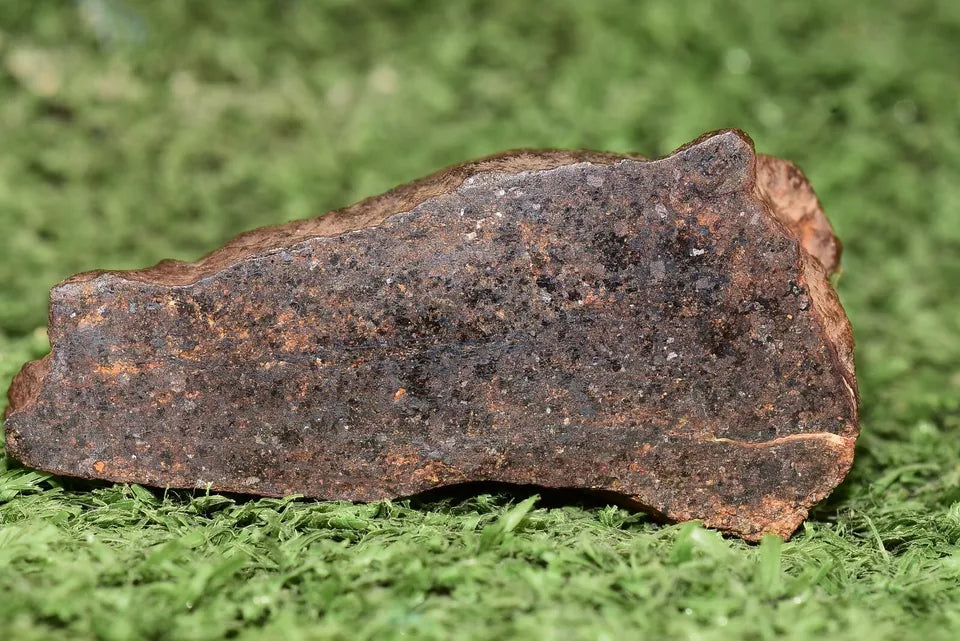 RARE CLASS Meteorite chondrite H7 NWA 14234 main Mass 77.5 grams - MeteoriteNwa.com