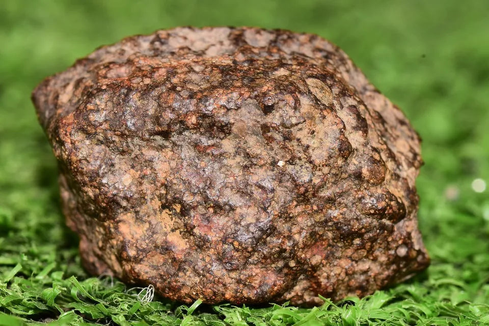 Meteorite Chondrite L3 NWA 12341 With Amazing chondrules endcut 15.4 g - MeteoriteNwa.com