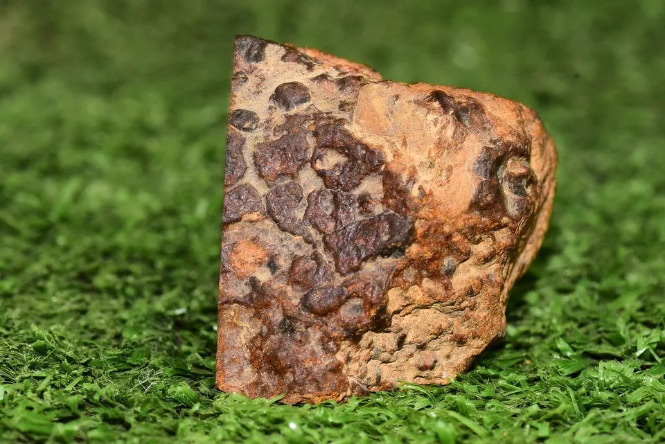 Meteorite chondrite LL7 Brecciated NWA 12589 Main Mass 90.2G - MeteoriteNwa.com