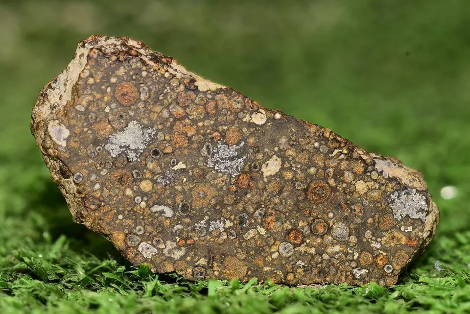 Meteorite CV3 Carbonaceous Chondrite NWA 14004 Endcut 12.85 G - MeteoriteNwa.com
