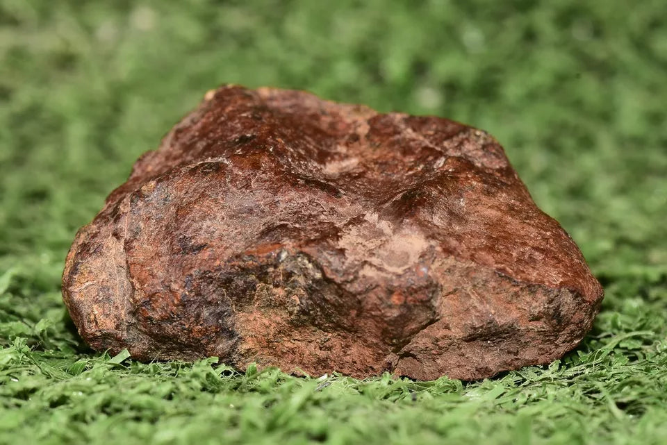 RARE CLASS Meteorite chondrite H7 NWA 14234 Endcut 30 grams - MeteoriteNwa.com