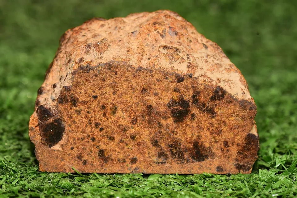 Meteorite chondrite LL7 Brecciated NWA 12589 Main Mass 90.2G - MeteoriteNwa.com