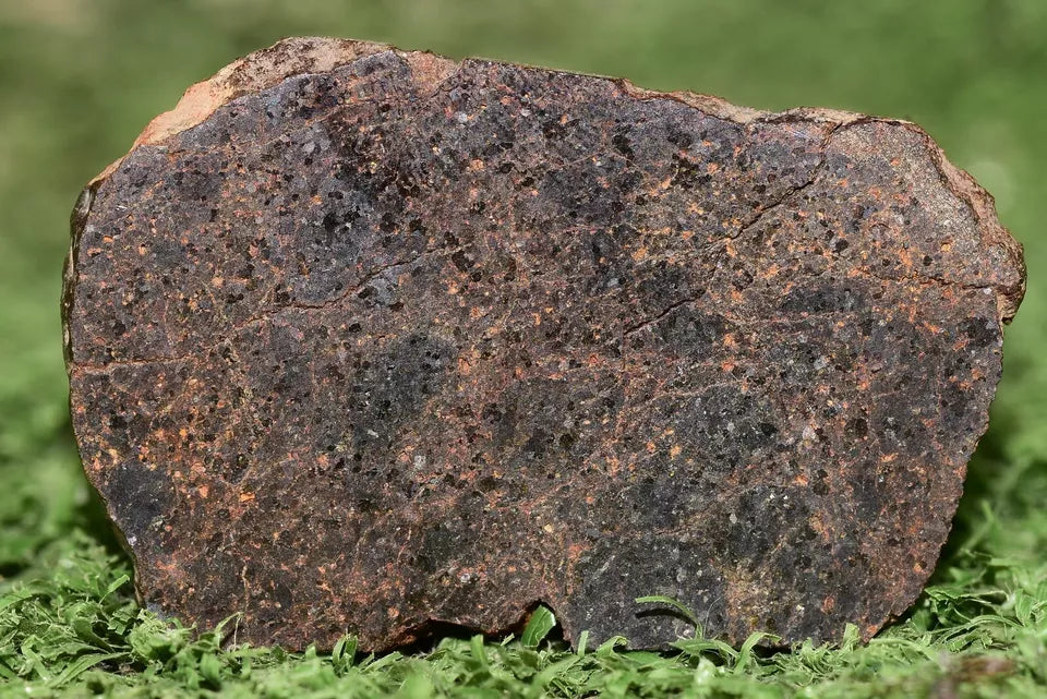 ULTRA RARE Meteorite Brachinite Achondrite NWA 11756 Slice 12.3 g - MeteoriteNwa.com