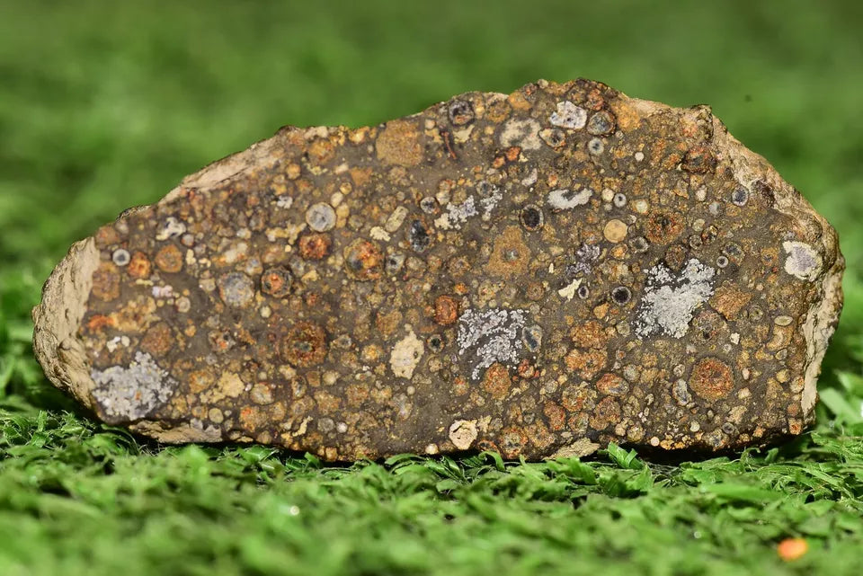 Meteorite CV3 Carbonaceous Chondrite NWA 14004 Endcut 12.85 G - MeteoriteNwa.com