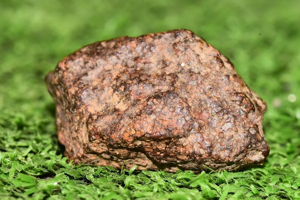Meteorite Chondrite L3 NWA 12341 With Amazing chondrules endcut 15.4 g - MeteoriteNwa.com