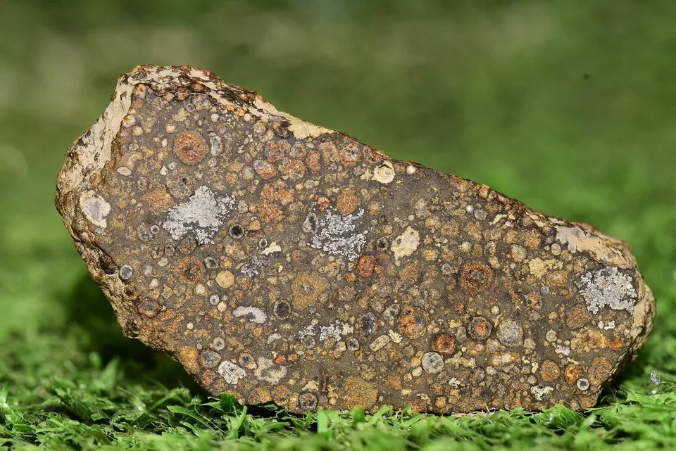 Meteorite CV3 Carbonaceous Chondrite NWA 14004 Endcut 12.85 G - MeteoriteNwa.com