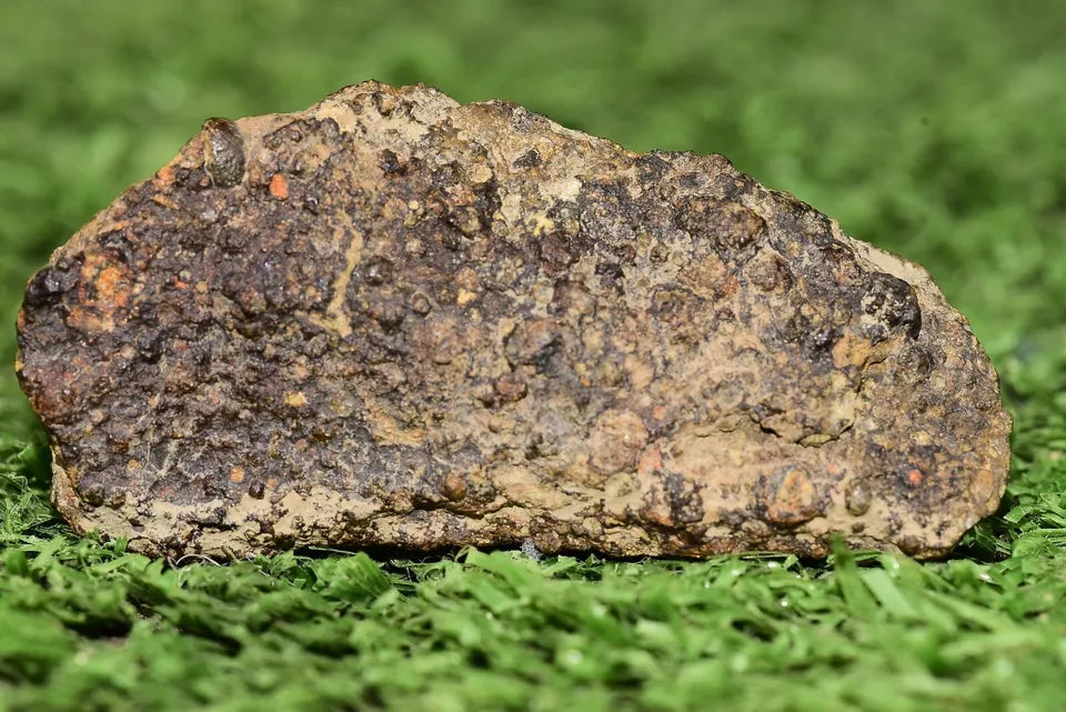 Meteorite CV3 Carbonaceous Chondrite NWA 14004 Endcut 12.85 G - MeteoriteNwa.com