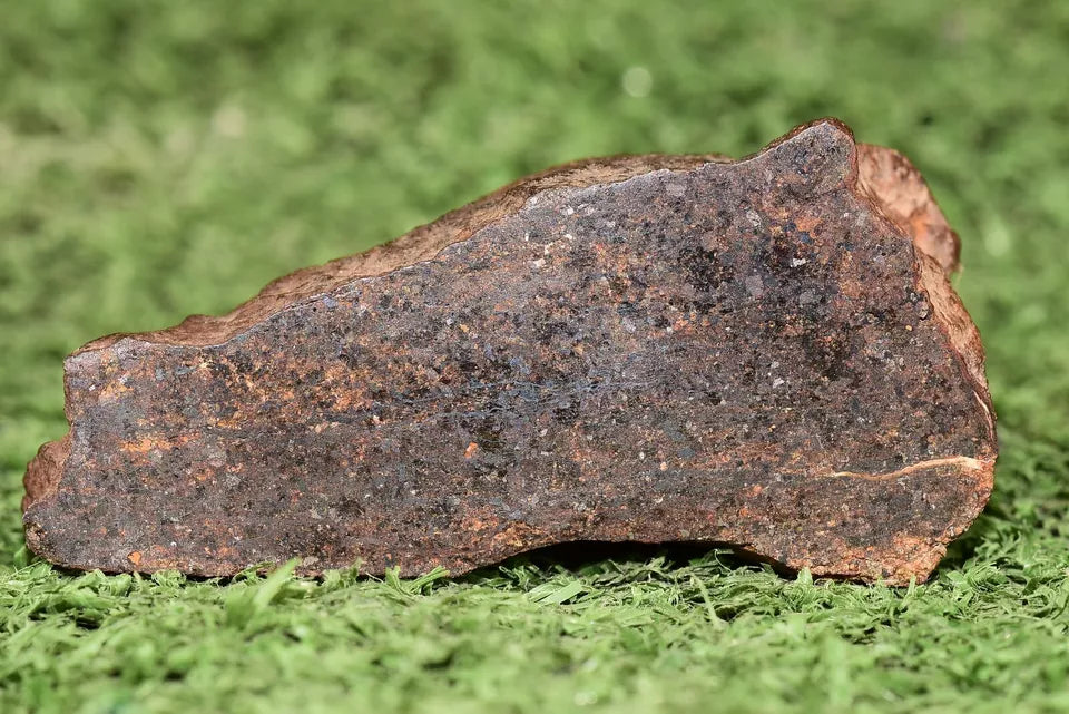 RARE CLASS Meteorite chondrite H7 NWA 14234 main Mass 77.5 grams - MeteoriteNwa.com