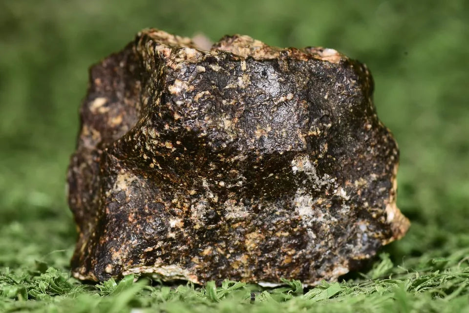 Meteorite Eucrite Brecciated NWA 14410 fragment 12.5 g - MeteoriteNwa.com