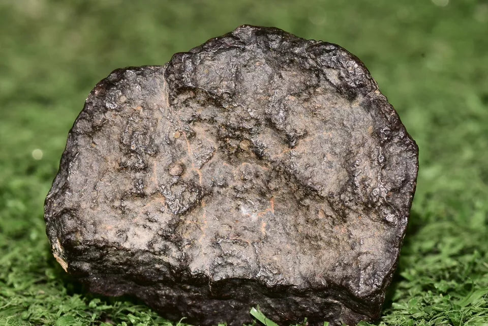 Meteorite chondrite Ordinary H4 NWA 14003 Complete fragment - 52.5g - MeteoriteNwa.com