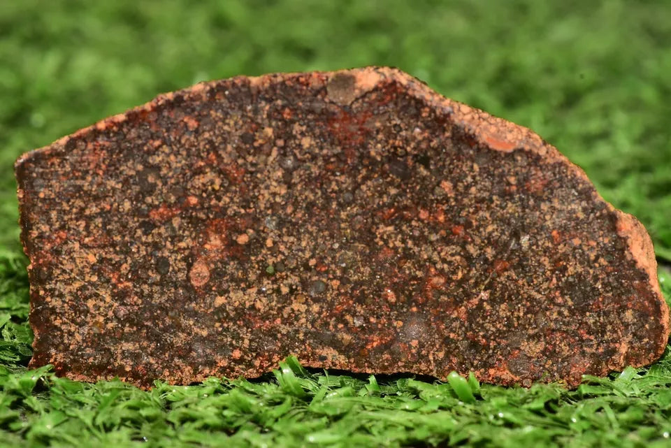 Meteorite Chondrite L3 NWA 12341 With Amazing chondrules 9.93 g - MeteoriteNwa.com