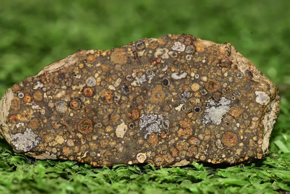 Meteorite CV3 Carbonaceous Chondrite NWA 14004 Endcut 12.85 G - MeteoriteNwa.com