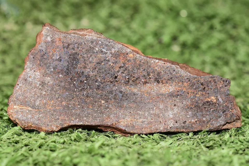 RARE CLASS Meteorite chondrite H7 NWA 14234 Slice 19.81 grams - MeteoriteNwa.com