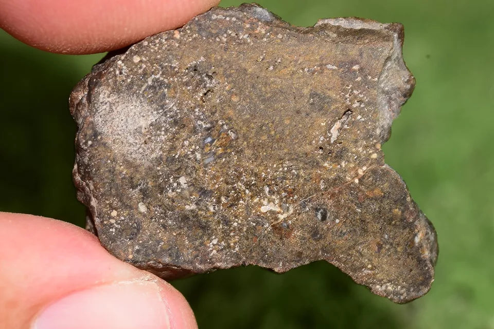 Meteorite NWA 12344 Slice HED achondrite Eucrite, polymict SLICE 4.9 GRAMS - MeteoriteNwa.com