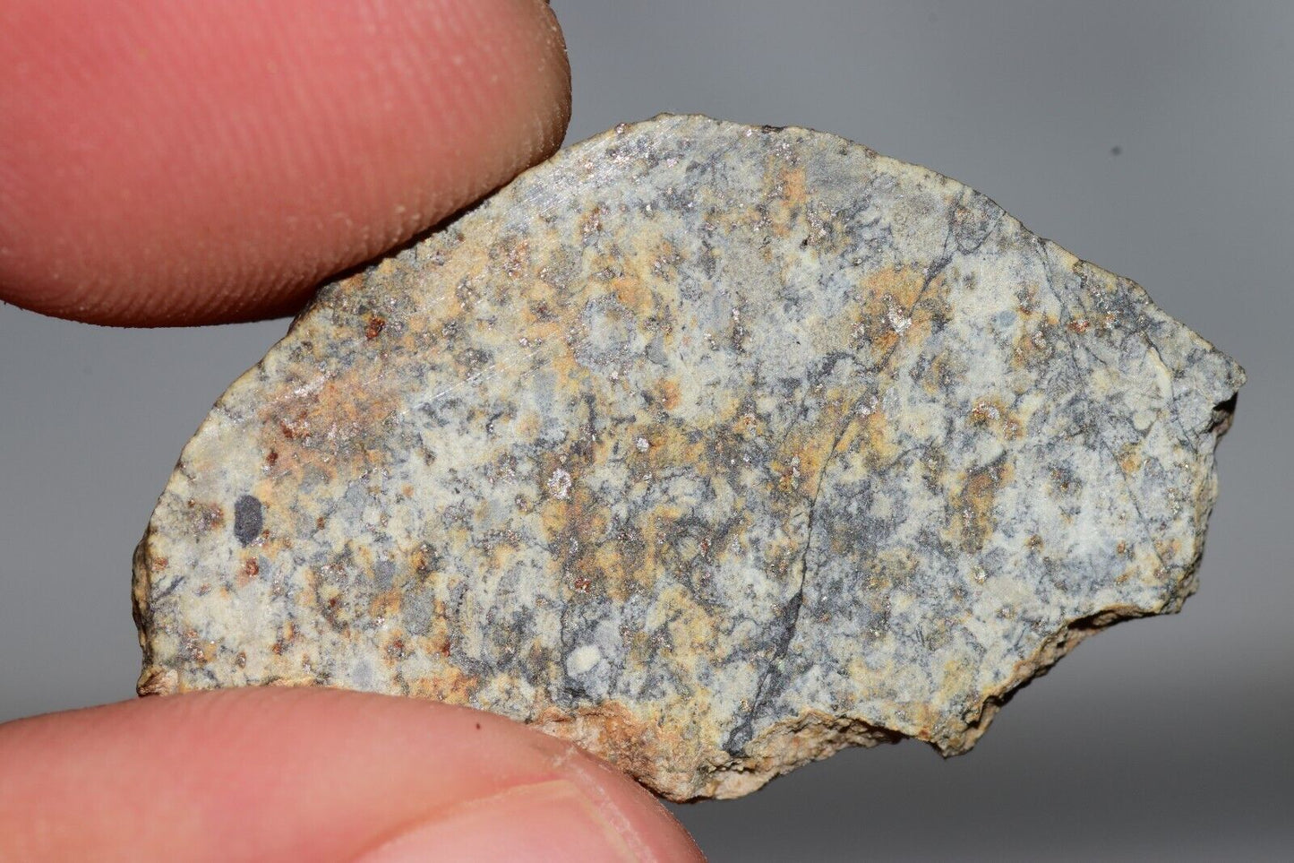 Meteorite Chondrite LL6 NWA 14225 Slice 3.32G with black shock melt veins. W COA - MeteoriteNwa.com
