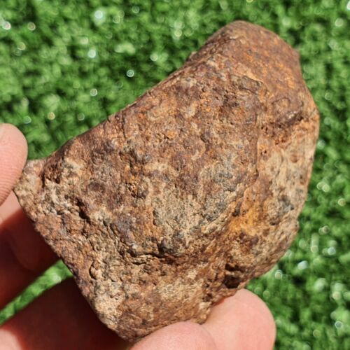 Meteorite L melt rock NWA 15404 Main Mass 148 g With olivine and pyroxene grains - MeteoriteNwa.com