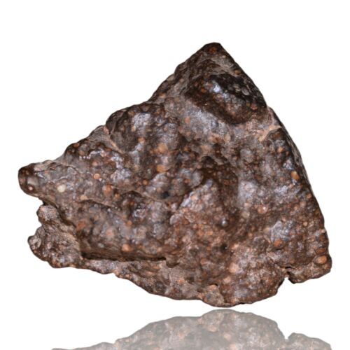 Meteorite CR2 Carbonaceous chondrite Rare NWA 14870 main mass 111.4 G Fragment! - MeteoriteNwa.com