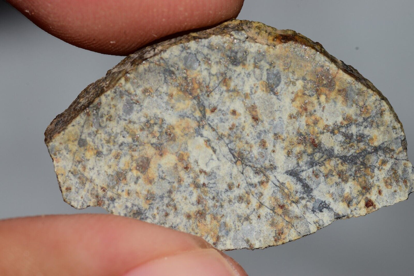 Meteorite Chondrite LL6 NWA 14225 Slice 3.51G with black shock melt veins. W COA - MeteoriteNwa.com