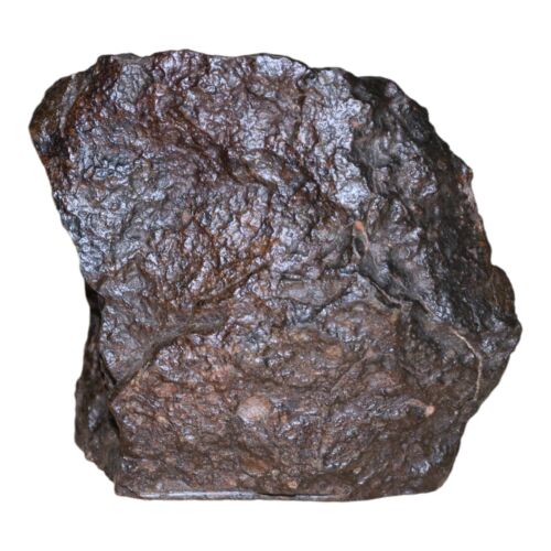 Rare Meteorite Chondrite L3 Melt Breccia NWA 14886 - Only 5 in the World - 80.8g - MeteoriteNwa.com