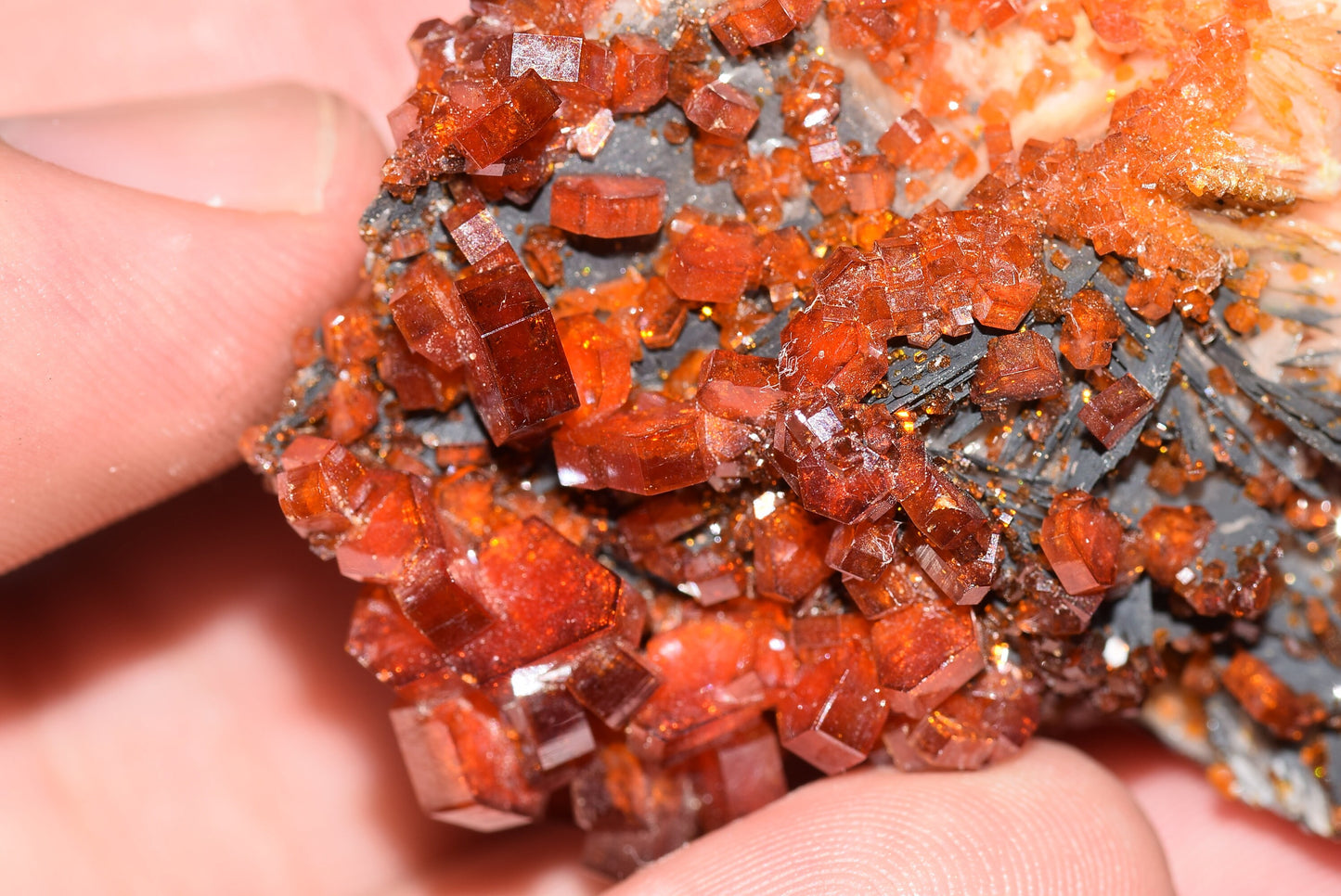 Vanadinite Mineral on Matrix Red Orange Genuine Crystals from Morocco Raw Druzy Natural Specimen Earth Chakra Grounding Gemstone - MeteoriteNwa.com