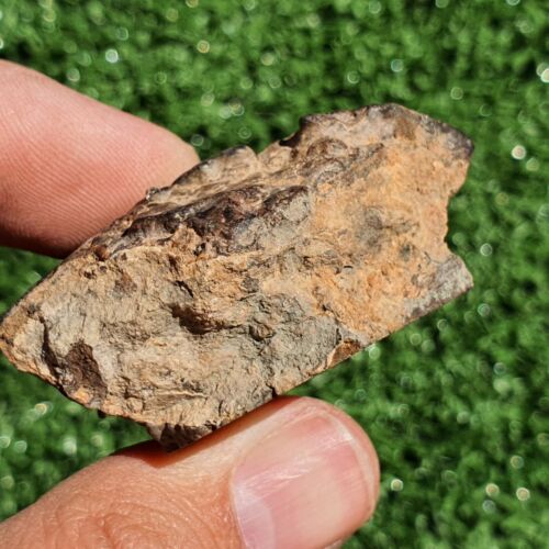 Meteorite Chondrite LL7 NWA 15408 Main Mass 60.6G Brownish rock - MeteoriteNwa.com