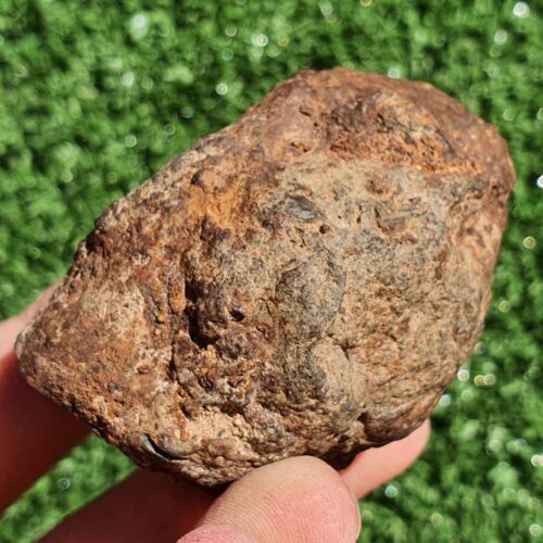 Meteorite L melt rock NWA 15404 Main Mass 148 g With olivine and pyroxene grains - MeteoriteNwa.com