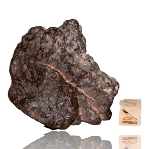 Meteorite CR2 Carbonaceous chondrite Rare NWA 14870 main mass 111.4 G Fragment! - MeteoriteNwa.com