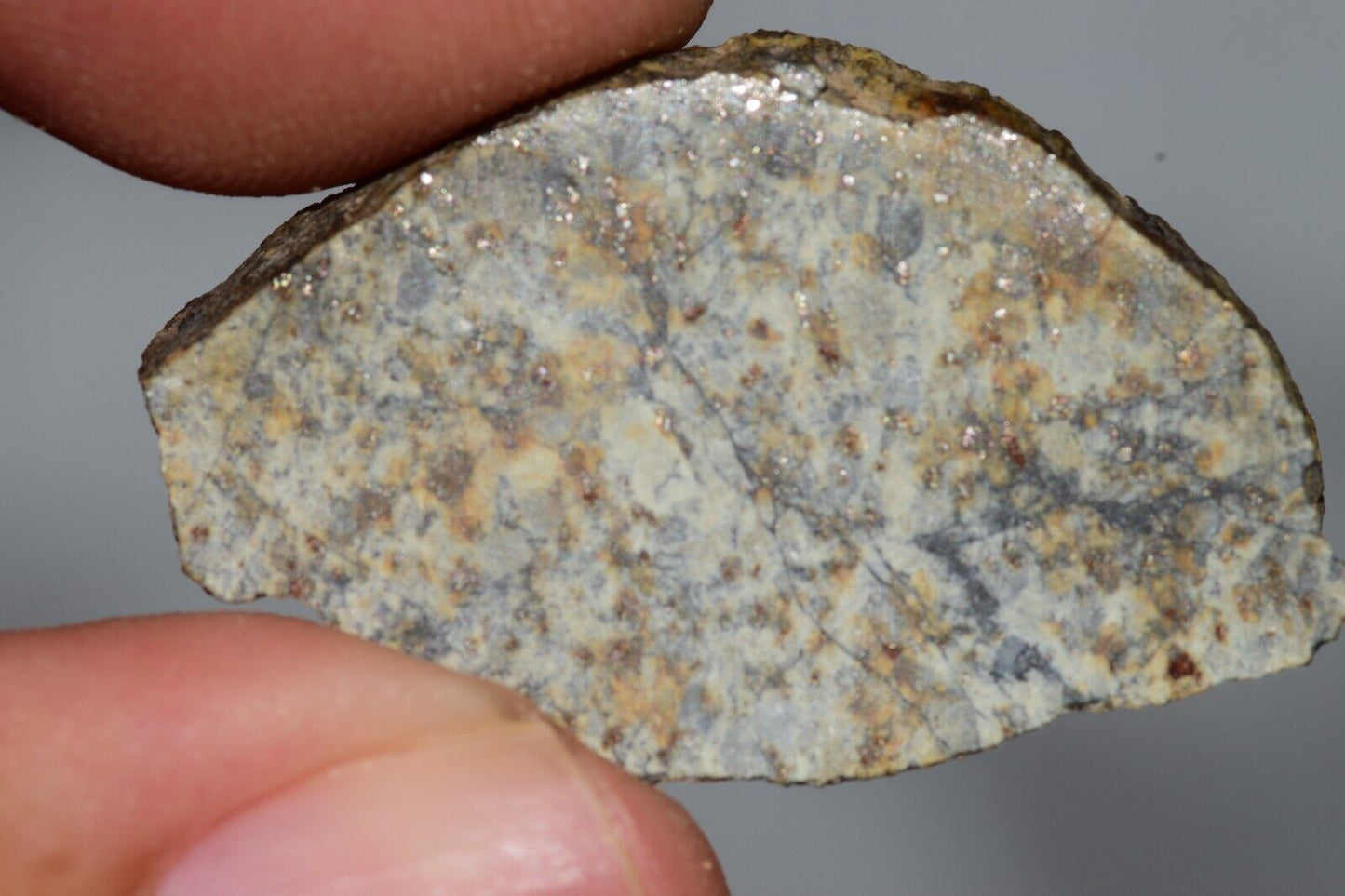 Meteorite Chondrite LL6 NWA 14225 Slice 3.51G with black shock melt veins. W COA - MeteoriteNwa.com