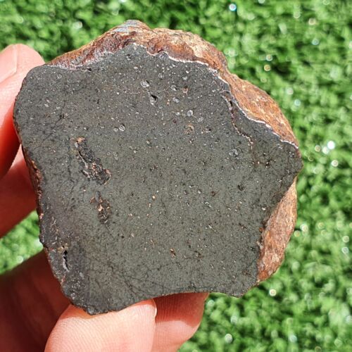 Meteorite L melt rock NWA 15404 Main Mass 148 g With olivine and pyroxene grains - MeteoriteNwa.com