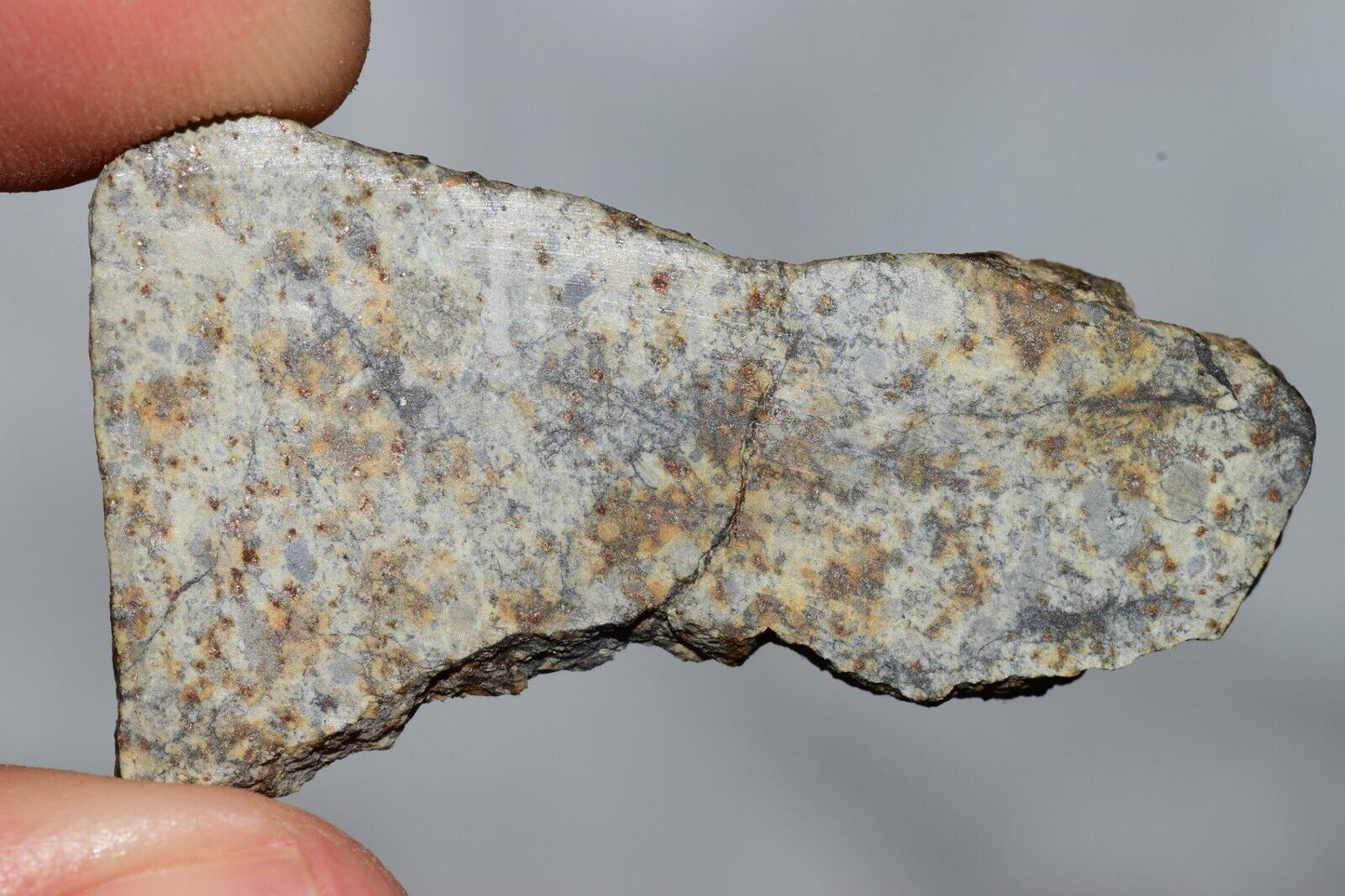 Meteorite Chondrite LL6 NWA 14225 Slice 7.11G with black shock melt veins. W COA - MeteoriteNwa.com