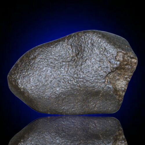 Meteorite chondrite Ordinary H4 NWA 14003 Main Mass - 627 g - MeteoriteNwa.com
