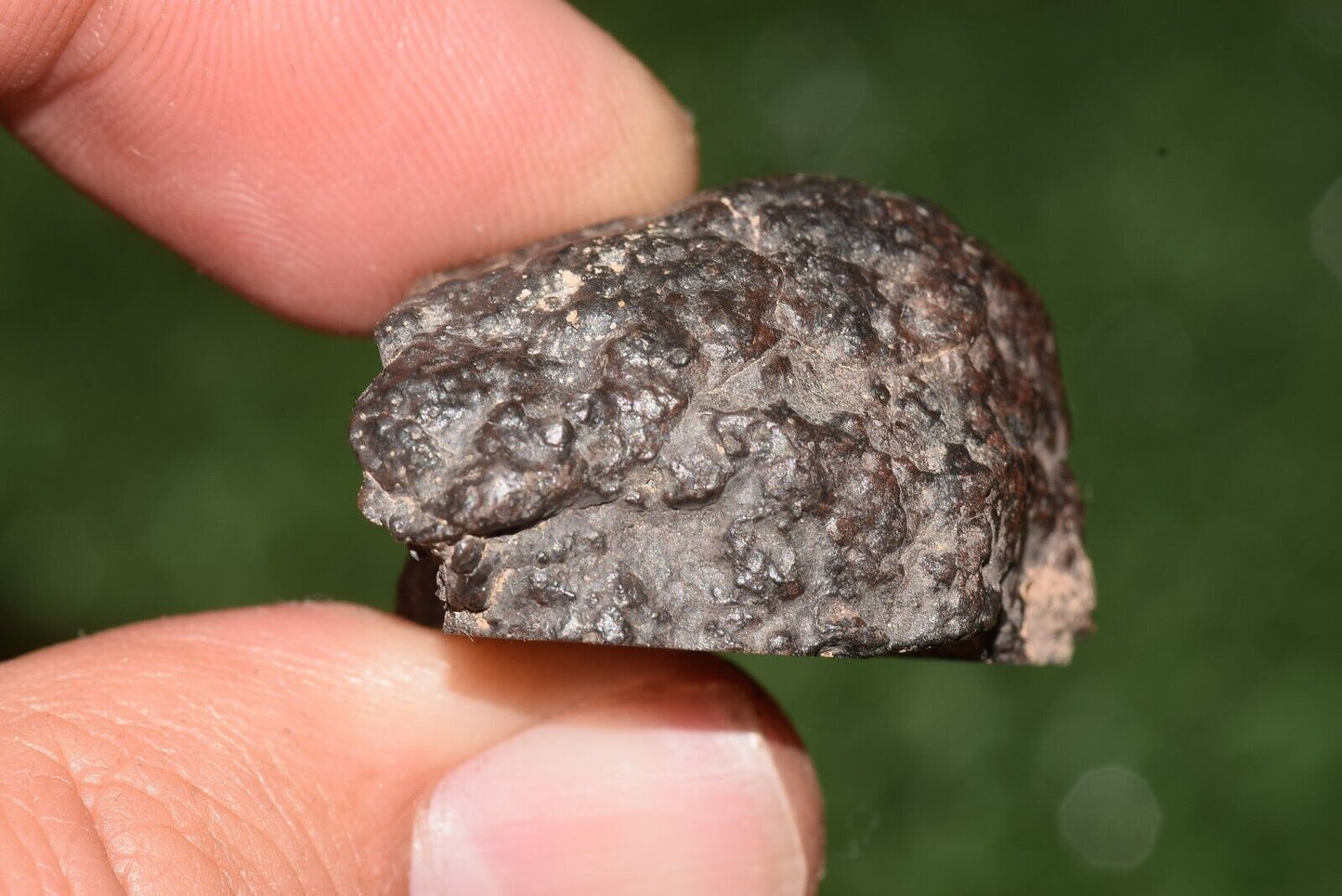 Meteorite chondrite Brownish L6 15406 Endcut 23.6 g - MeteoriteNwa.com