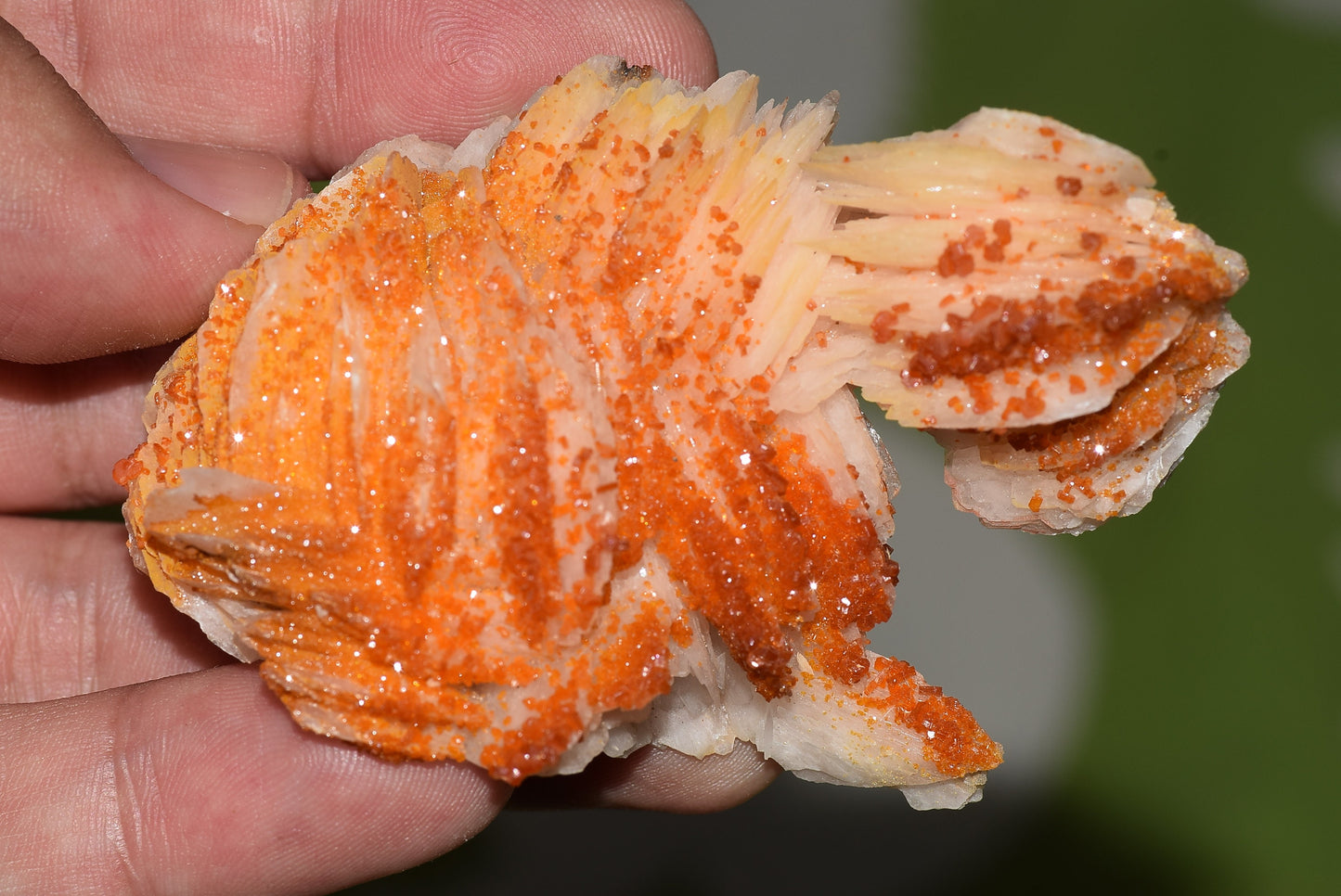 Vanadinite Mineral on Matrix Red Orange Genuine Crystals from Morocco Raw Druzy Natural Specimen Earth Chakra Grounding Gemstone - MeteoriteNwa.com