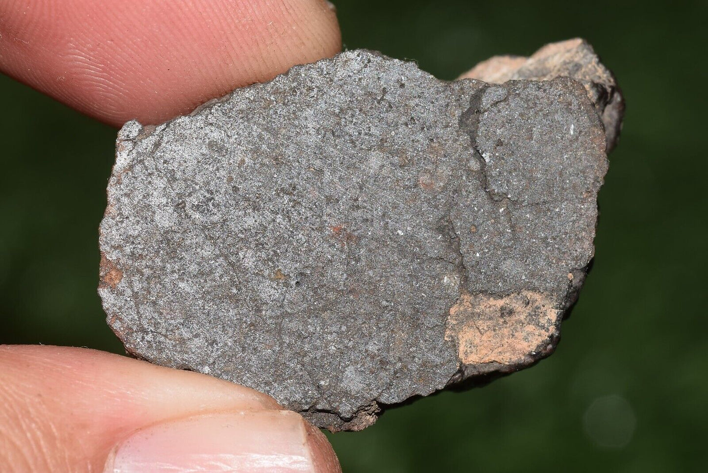 Meteorite chondrite Brownish L6 15406 Endcut 23.6 g - MeteoriteNwa.com